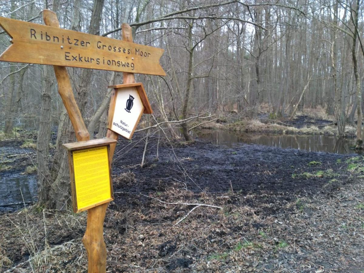 Appartamento Moorhexe Gelbensande Esterno foto